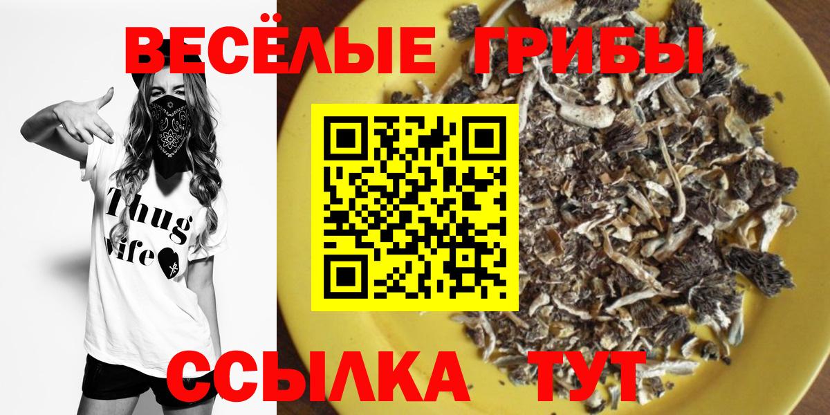Назарово  Псилоцибиновые грибы GOLDEN TEACHER  Вход с VPN 