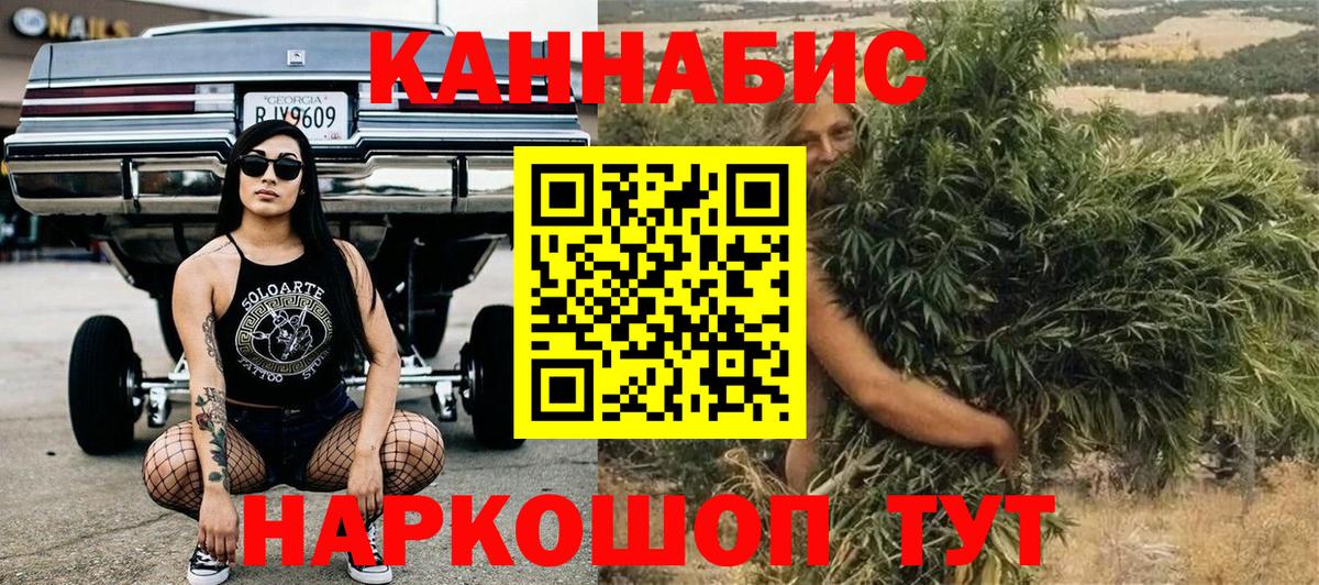 Бошки Шишки план Назарово
